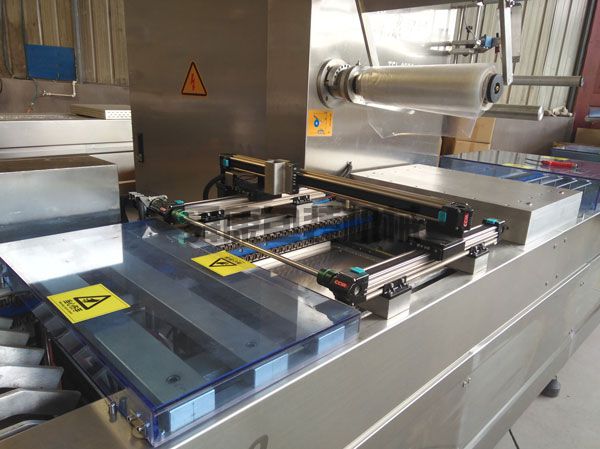DLZ520系列自動連續(xù)真空包裝機(圖2)